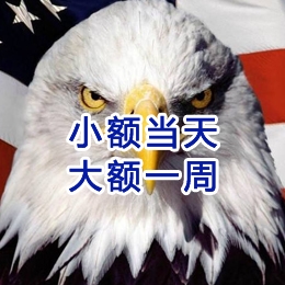 总口管理区要账公司